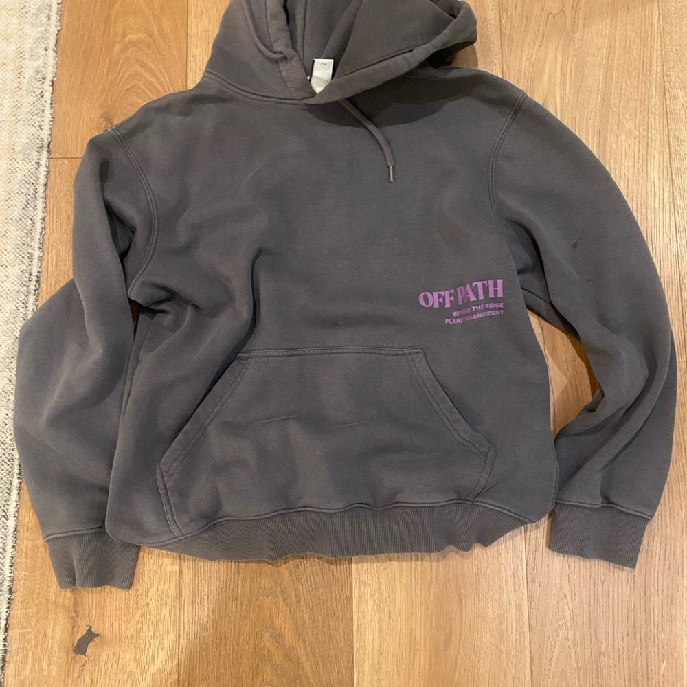 Gray Hoodie with Purple Text